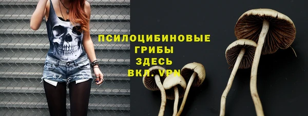 прущий лед Армянск